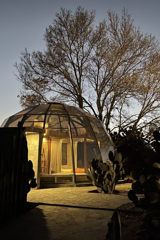 paisaje en raices mexico